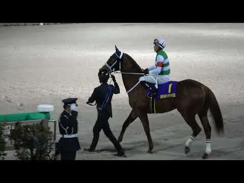 【ダイオライト記念2024】本馬場入場 現地映像 セラフィックコール