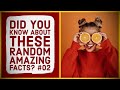 Did You Know Facts | Sahara Is Not The largest Desert? | Amazing Facts | Facts Only A Few Knows #01