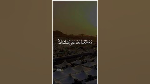 القارئ : ماجد الفريان