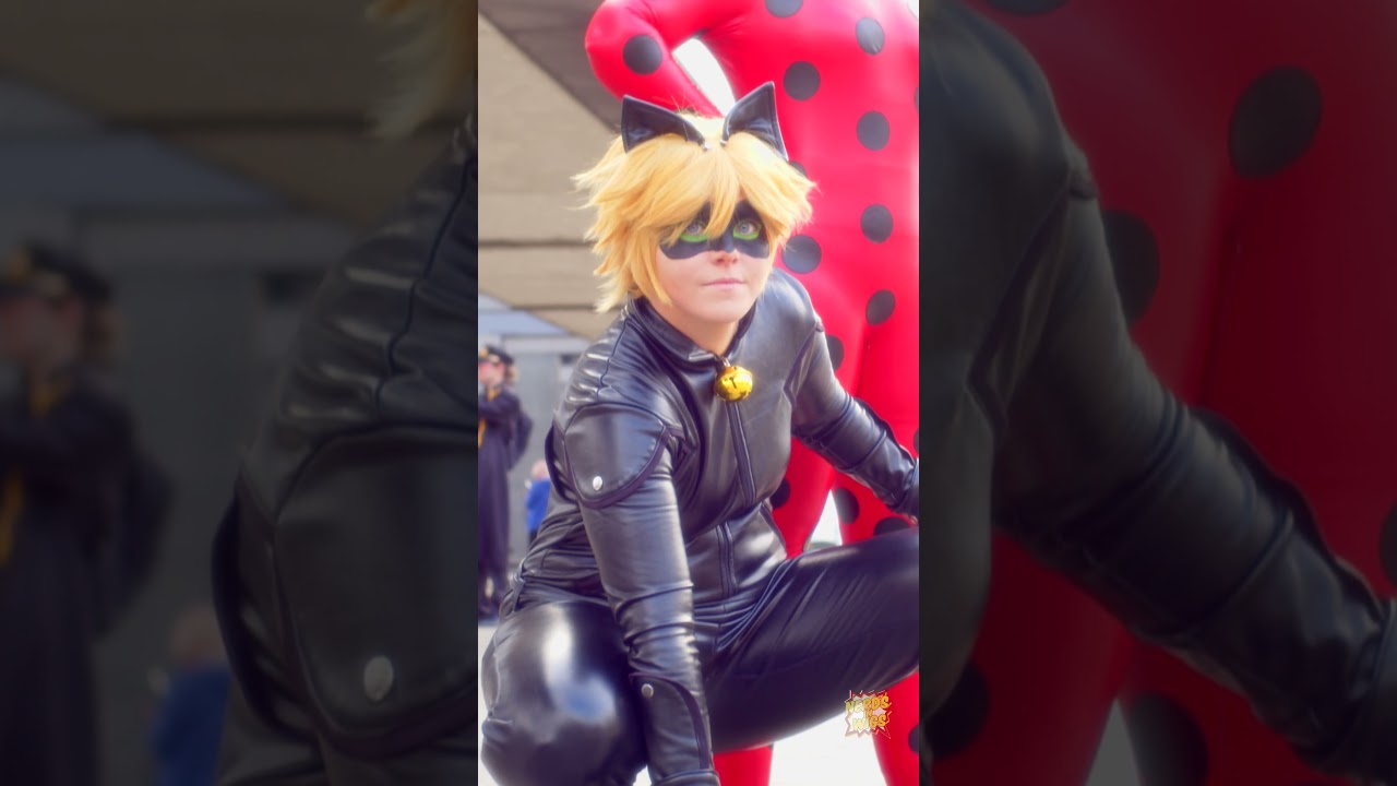 Miraculous Ladybug and Cat Noir COSPLAY! #miraculousladybug #catnoir #miraculous #cosplay #shorts