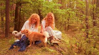 Simple Days in the Polish Countryside 🌿 A Gentle Reset (Nature Sounds) screenshot 3