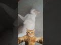 # #comedy #trendingshorts #public #viralvideo