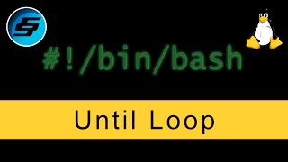 Until Loop - Bash Scripting
