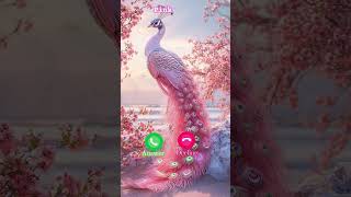 Pink parrot #ringtone