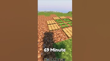 Minecraft Rabbit Trap at Different Times (World