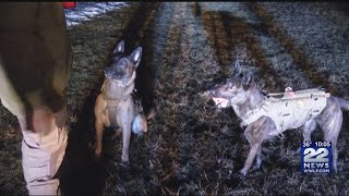 Secret Santa donation helps fund Belchertown Police department's K9 unit
