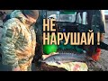 Наказание за нарушение правил рыбалки! Смотреть не только подводным охотникам но и всем рыбакам!