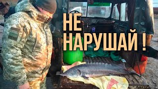 видео: Наказание за нарушение правил рыбалки! Подводная охота для новичков картинка: Наказание за нарушение правил рыбалки! Подводная охота для новичков