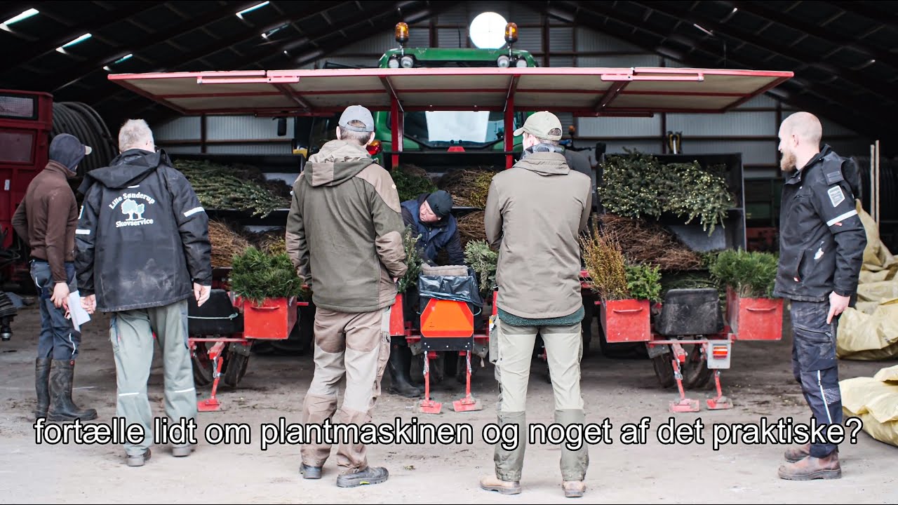 113 hektar skovrejsning for Kirkbi