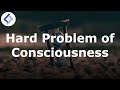 Hard Problem of Consciousness | Philosophy of Death