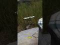 At least he was honest... 😂 || #dayz #dayzfunnymoments #funny #twitch #twitchclips
