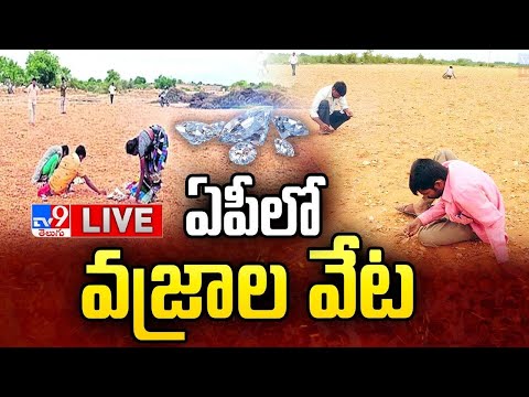 LIVE | ఏపీలో వజ్రాల వేట | Diamonds Hunt In Andhra Pradesh - TV9