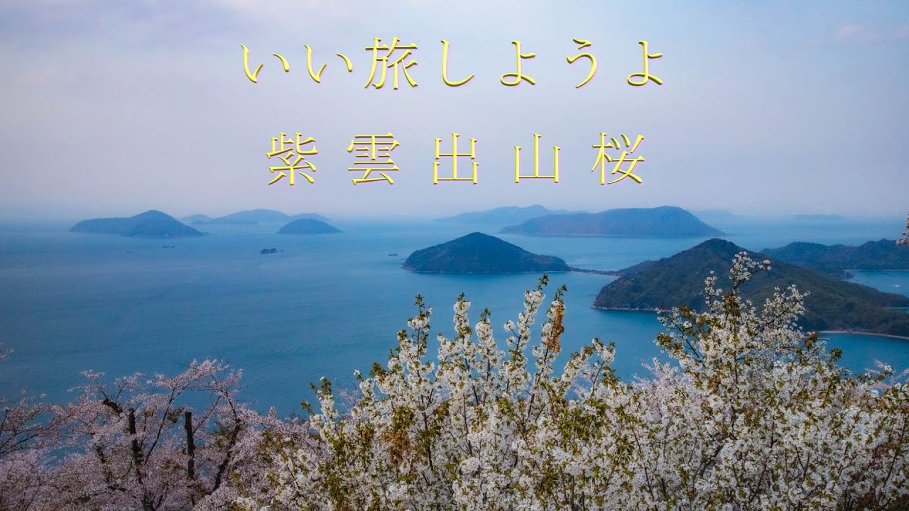 【四国・紫雲出山】人気観光スポット！桜を求めて #SAKURA#三豊市観光＃四国