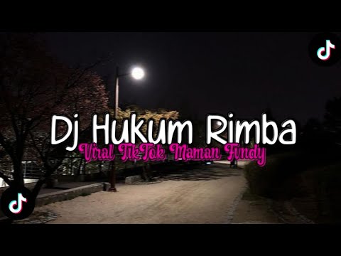 Dj Hukum Rimba Viral TikTok - Maman Fvndy