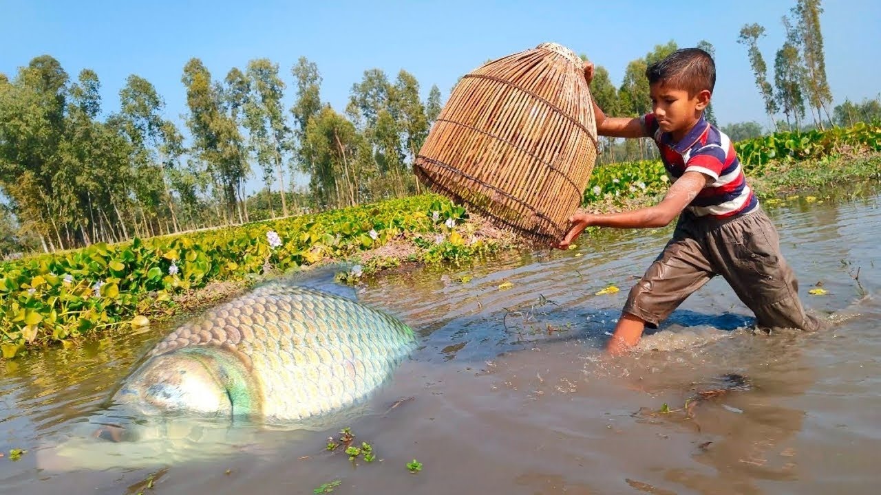 Amazing Polo Fishing~Amazing Polo Fishing in New Flood Water~Best Polo ...