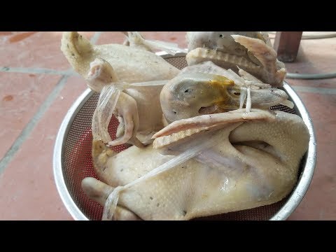Video Cách luộc vịt không bị đỏ xương, không hôi - Bí quyết... - youtube