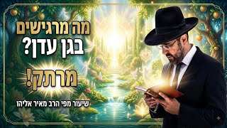 מה מרגישים בגן עדן ❓ הרב מאיר אליהו ❤️