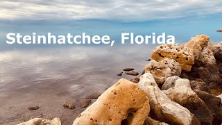 Lets Go To Steinhatchee, Florida, Ep. 61 by Driving Ms. Ali 394 views 4 months ago 11 minutes, 21 seconds