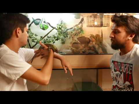 YouTube video