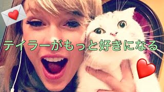 テイラースウィフト と猫 かわいい おもしろまとめ 字幕 ライブでのハプニング集 ドッキリ Taylor Swift Funny Cute Moments Compilation Youtube