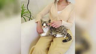 Have great fun with these realistic and lifelike stuffed kitten cat animal plush toys!