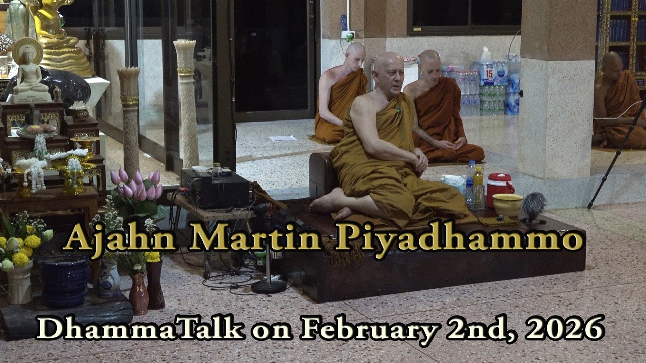«Мы должны развеять иллюзии…» — Дхамматалекта Аджана Мартина (02.02.2026)