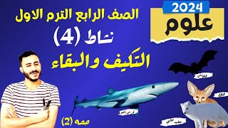 حصريا الدرس الثاني علوم الصف الرابع الابتدائي المنهج الجديد ٢٠٢٤ التكيف والبقاء نشاط 4