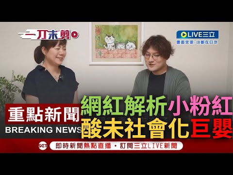 [一刀未剪] "小粉紅就是未建立社會認知的巨嬰!" 網紅深度解析揭"玻璃心"形成原因 談中網友狂拿國外負面報導做文章 大酸: 只能體現別國自由度比中國高｜【焦點人物大現場】20231007｜三立新聞台