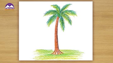 How to draw coconut tree in colour pencil / Step by step easy drawing