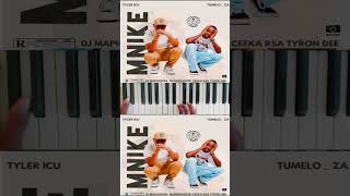 Mnike mnike tylericu nandipha808 djmaphorisa southafrica amapiano sama28