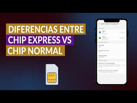 Chip Express vs Chip Normal: ¿En qué se Diferencian? Ventajas y Desventajas