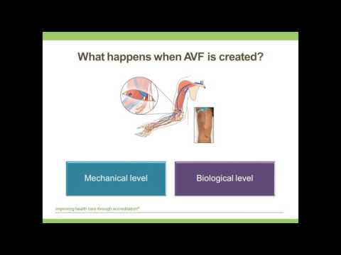 Video: Vad är en brachiocephalic av fistel?