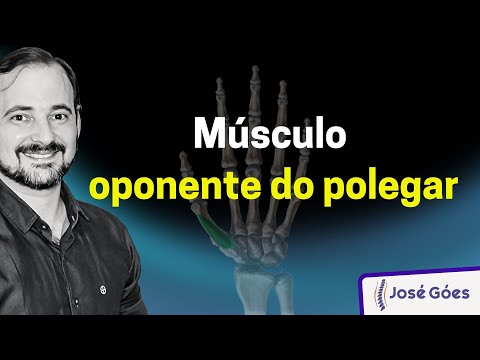 Vídeo: Onde está o oponente do polegar?