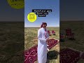 ربيع عرعر المعيلة 1447هـ 20 شوال عرعر ترند
