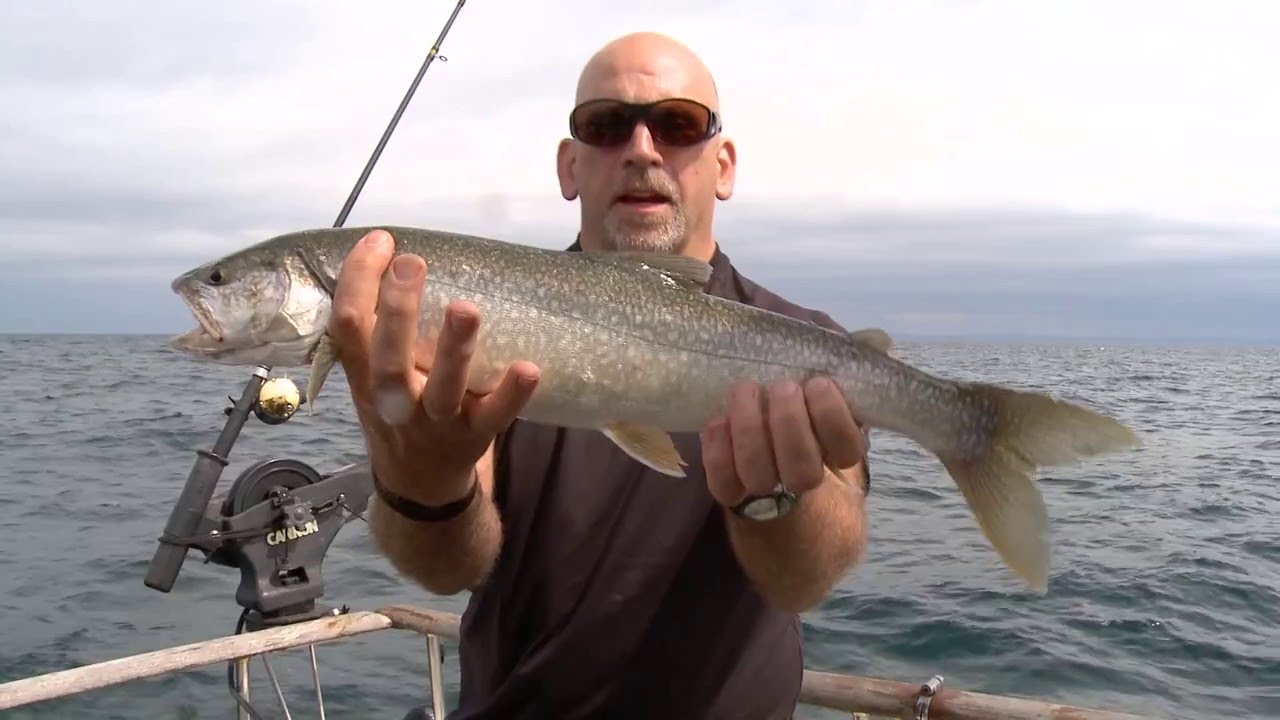Lake Trout in the Apostle Islands WI and Marine Recon Memorial YouTube