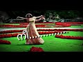 Romantic Status Video Oru poo Mathram chodichu Lyrical Video Mp3 Song