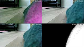 20260811 - OR - Home Camera log