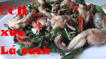 Cách làm ẾCH XÀO LÁ CÁCH ngon bổ dưỡng cho gia đình | Món ngon mỗi ngày | AT Chanel