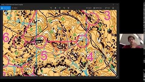Online Orienteering Coaching #2: Stepping Stones and Handrails