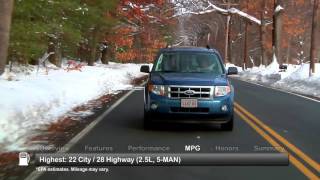 2009 Ford Escape Used Car Report
