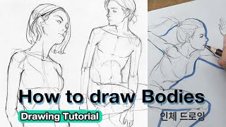 How to draw the Body and poses. (Tutorial)