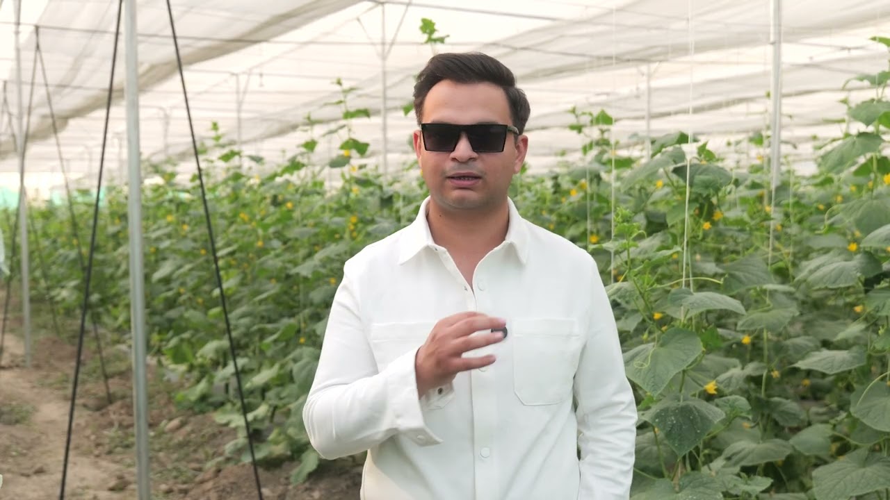 What goes behind making a Nethouse Project Successful? 8 Lacs Profit from 1 Acre | Pioneer Agritech