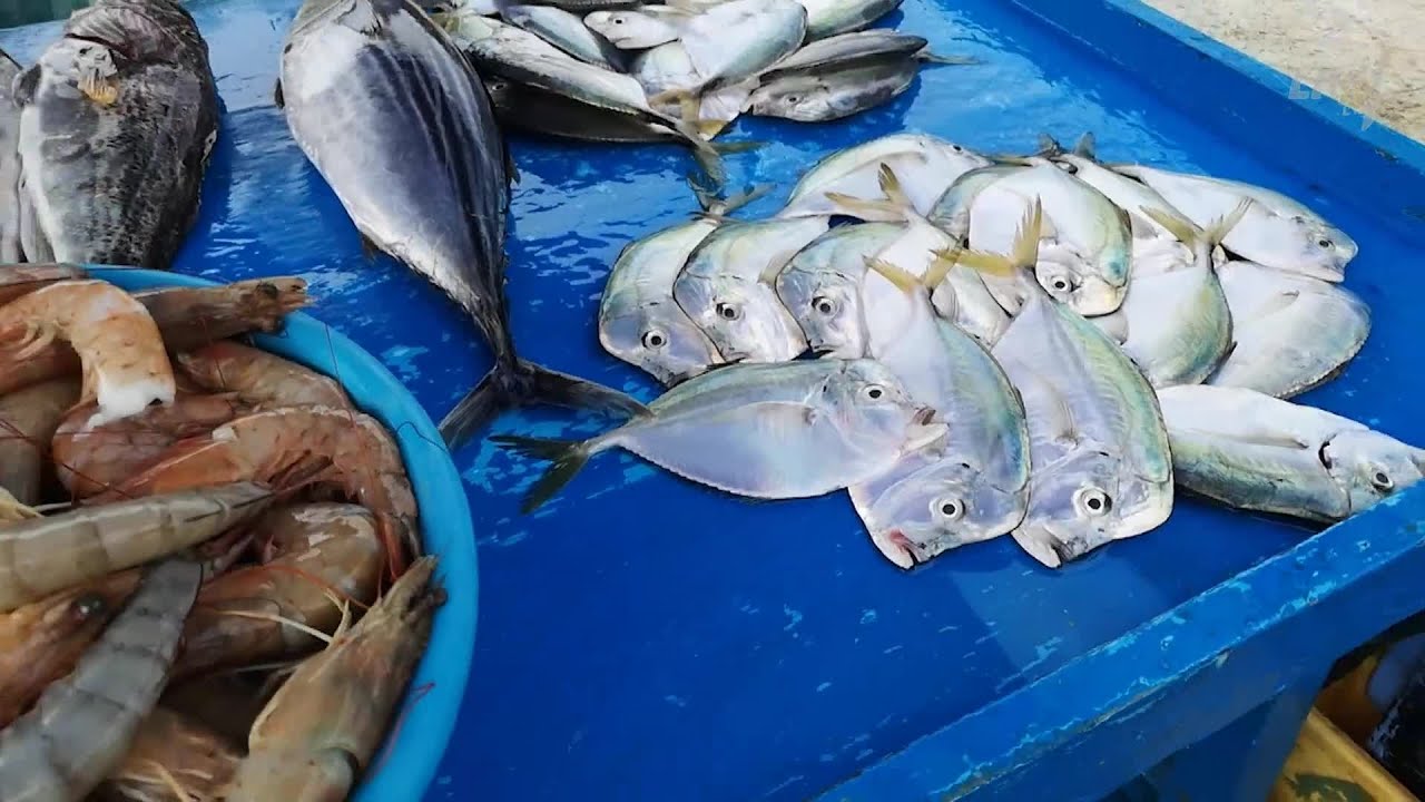 1000 pasaulio stebuklų. Prie kelionės prisijungę nauji dalyviai, spalvomis žavintys turgus bei bažny