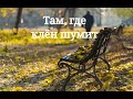 Там, где клён шумит