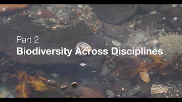 Ecosystem Alliance _ Scotland expedition _  biodiversity across disciplines