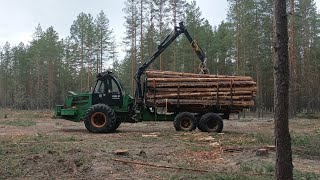 Защитники леса vs лесозаготовителей.