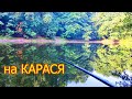 на Лесном Озере, Рыбалка на карася, Снасть с двумя крючками. Ловля карася на болтушку из манки