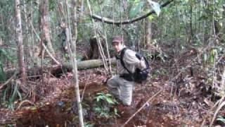 Sabangau Interns 2011 @BorneoNatureFoundation