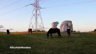Horses and The Kelpies