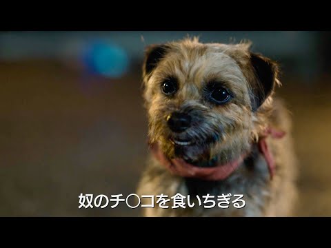 闇堕ちペット犬がクソ飼い主に復讐！オトナ向けペットコメディ映画『スラムドッグス』特報